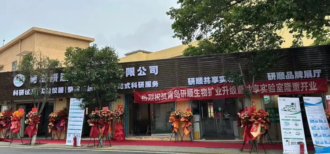 共享实验室首训开讲｜青岛研顺生物 WB 实操公益培训圆满举办