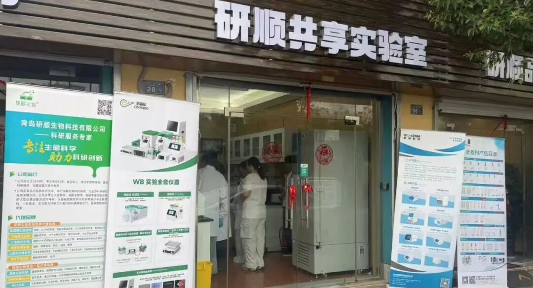 名额速抢｜研顺生物 qPCR 专项实操培训，两期爆满，常态化开班持续开放！