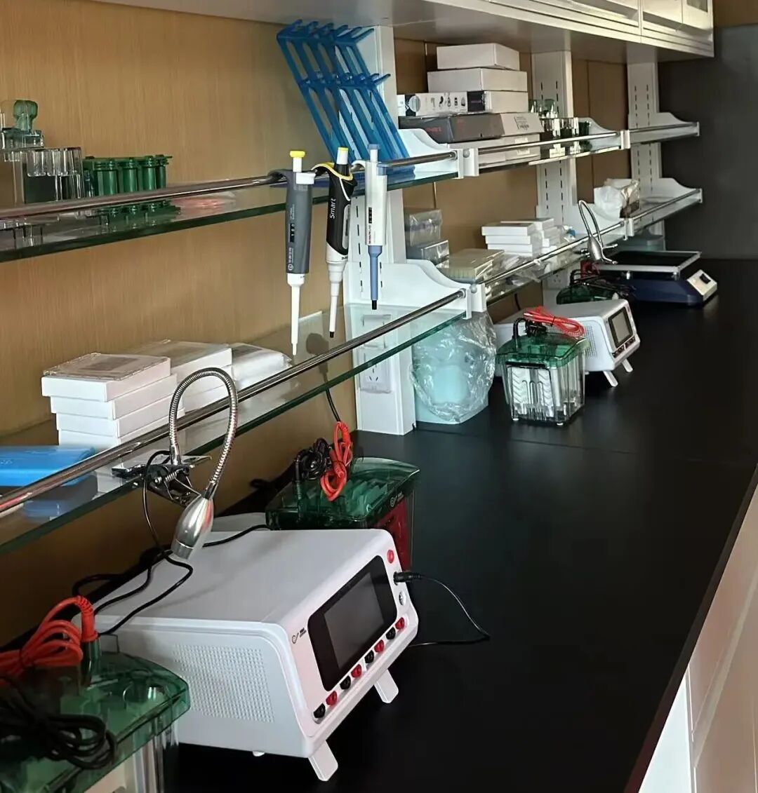 qPCR 专项实操培训现场